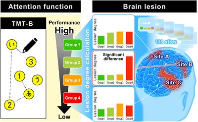 Projection of Damaged Visual and Language Regions on Low Trail Making Test Part-B Performance in Stroke Patients